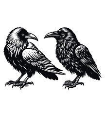 Crow silhouette vector illustrations