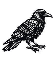 Crow silhouette vector illustrations
