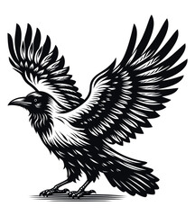 Crow silhouette vector illustrations