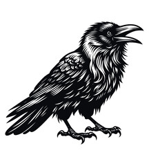 Crow silhouette vector illustrations