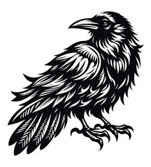 Obraz premium Crow silhouette vector illustrations
