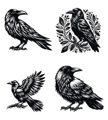 Crow silhouette vector illustrations