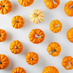 Pumpkin squash for Halloween on white background Flat lay design, Halloween elements, Happy Halloween