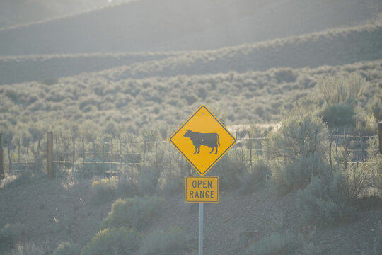 Open Ranger road sign in the Nevada desert just before sunset.