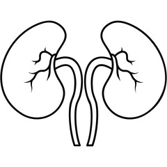 Kidney Icon