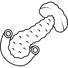 Pancreas Icon