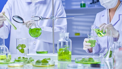 Modern science lab with two scientists observing and pouring gotu kola solution from flask into beaker. On the table are gotu kola samples and equipment for the experiment. High quality image template