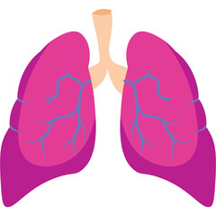 Lungs Illustration