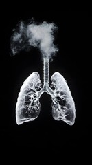 Invisible Lung Cancer Risk Radon the Radioactive Gas Hazard