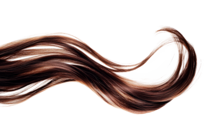 High-Quality PNG of brown hair Isolated on White Background – High Resolution