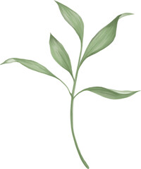 Aesthetic green leaves