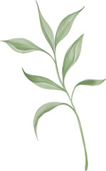 Aesthetic green leaves