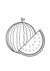 hand drawn fresh watermelon illustration design