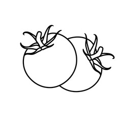 Tomato on a white background
