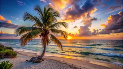Fototapeta premium Tulum beach sunset with palm tree in Riviera Maya , Tulum, beach, sunset, palm tree, Riviera Maya, tranquil