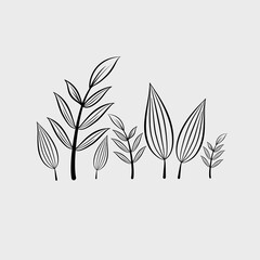 illustration of a leaf