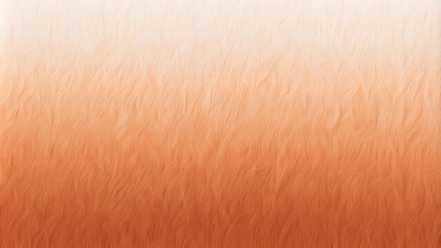 Gradient peach fuzz pantone color background with film grain texture, peach, fuzz, pantone, gradient, background, film grain