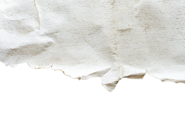 Transparent Ripped Paper Texture - Seamless Background