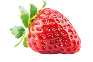 Transparent Strawberry: A Macro Perspective on the Beauty of Nature