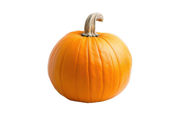 Obraz premium Transparent Pumpkin on Black Background: A Crisp Fall Image