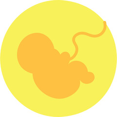 Embryo Illustration