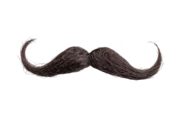 Transparent Moustache: A Whimsical Exploration of Identity and Expression