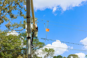 Several power lines have been damaged by severe violent hurricane, which is being repaired by...