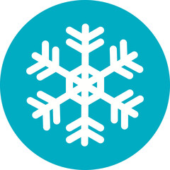  Christmas, New Year Vector Icon element, Isolated white background