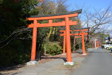 竹中稲荷神社　参道の鳥居　京都市左京区
