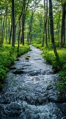 Obraz premium A tranquil forest stream flows gently through a green, lush forest, with soft sunlight filtering through the trees.