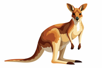 Cute Kangaroo vector art illustration