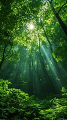 Obraz premium The peaceful atmosphere highlighted the natural beauty and serenity of the forest.