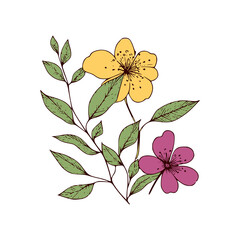 colorful flower cluster clipart