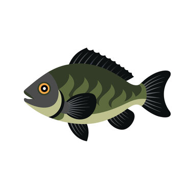 recommend clip art: Crappie animal isolated flat vector illustration on white background