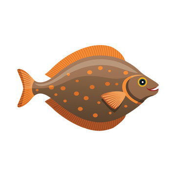recommend clip art: Flounder animal isolated flat vector illustration on white background.