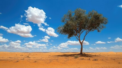 Obraz premium A solitary abstract tree of hope in the desert, its branches reaching toward the sky, standing in stark contrast to the arid, sandy surroundings