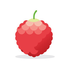 Lychee fruit flat vector illustration on white background