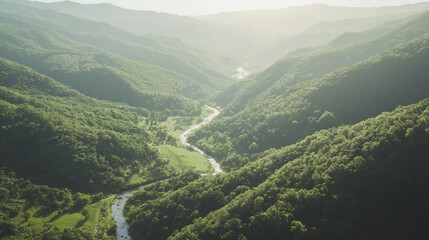 Fototapeta premium Majestic Mountainous Landscape with Serene River, Dense Forests, and Wildlife Haven