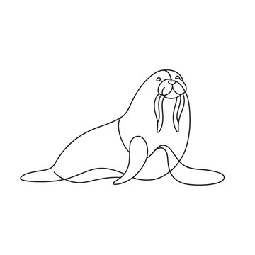 recommend clip art: Walrus Animal continuous line art flat vector illustration on white background.