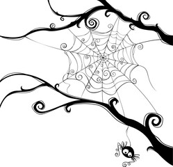Isolated spooky spider web in a fun way