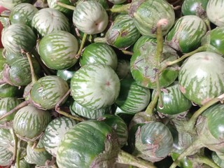 A pile of raw eggplants sold in the traditional market. Stack of small green eggplant.