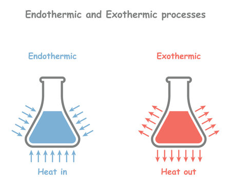 Endothermic and Exothermic processes and reactions. Heat out and heat in. Absorbing and releasing thermal energy. Chemical or a physical process. Thermodynamics. Vector illustration.