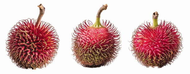 set of rambutans isolated on transparent background