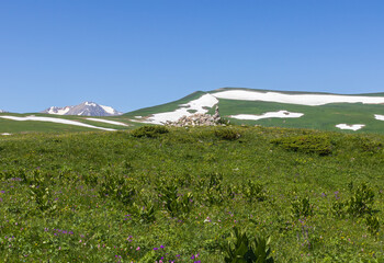 nature park, spring mood and a walk through the alpine meadows on a sunny day