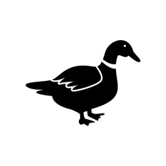 Duck logo vector illustration design template. Duck icon with attractive design.