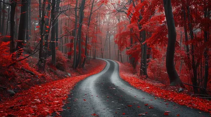 Fleecedeken met foto A road through an autumn forest with red trees. © visoot