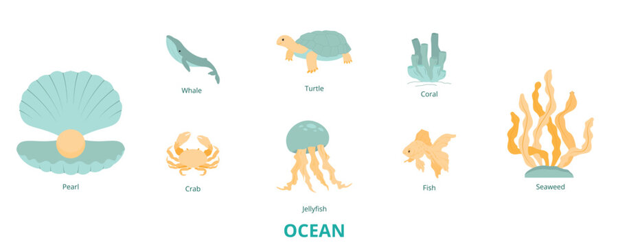 Ocean Flat Banner Web Icon Set Vector Illustration, Whale Coral Jellyfish Turtle Fish Pearl Seaweed Crab