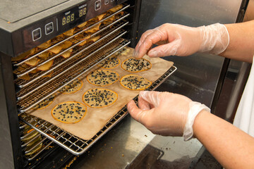 Oven Dehydrated Kiwi. Organic Nuts. Close Natural Dehydrated Kiwi Slices Snack. Dried kiwi for...