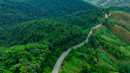 Aerial view of dark green forest road and white electric car Natural landscape and elevated roads Adventure travel and transportation and environmental protection concept	
