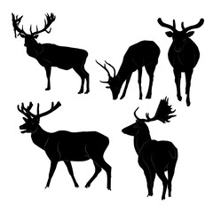 set of black silhouettes of deer on a white background